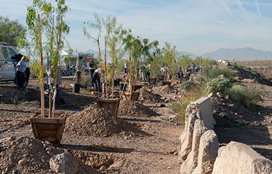 Community Envolvement